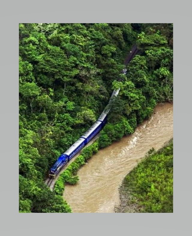 Servicio De Trenes Promoción Para Nacionales